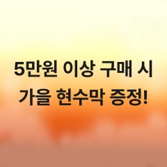 ǰ 